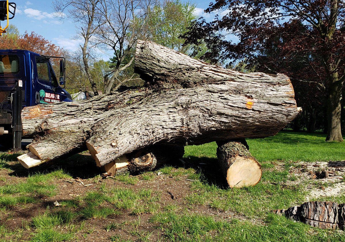 STORM DAMAGE