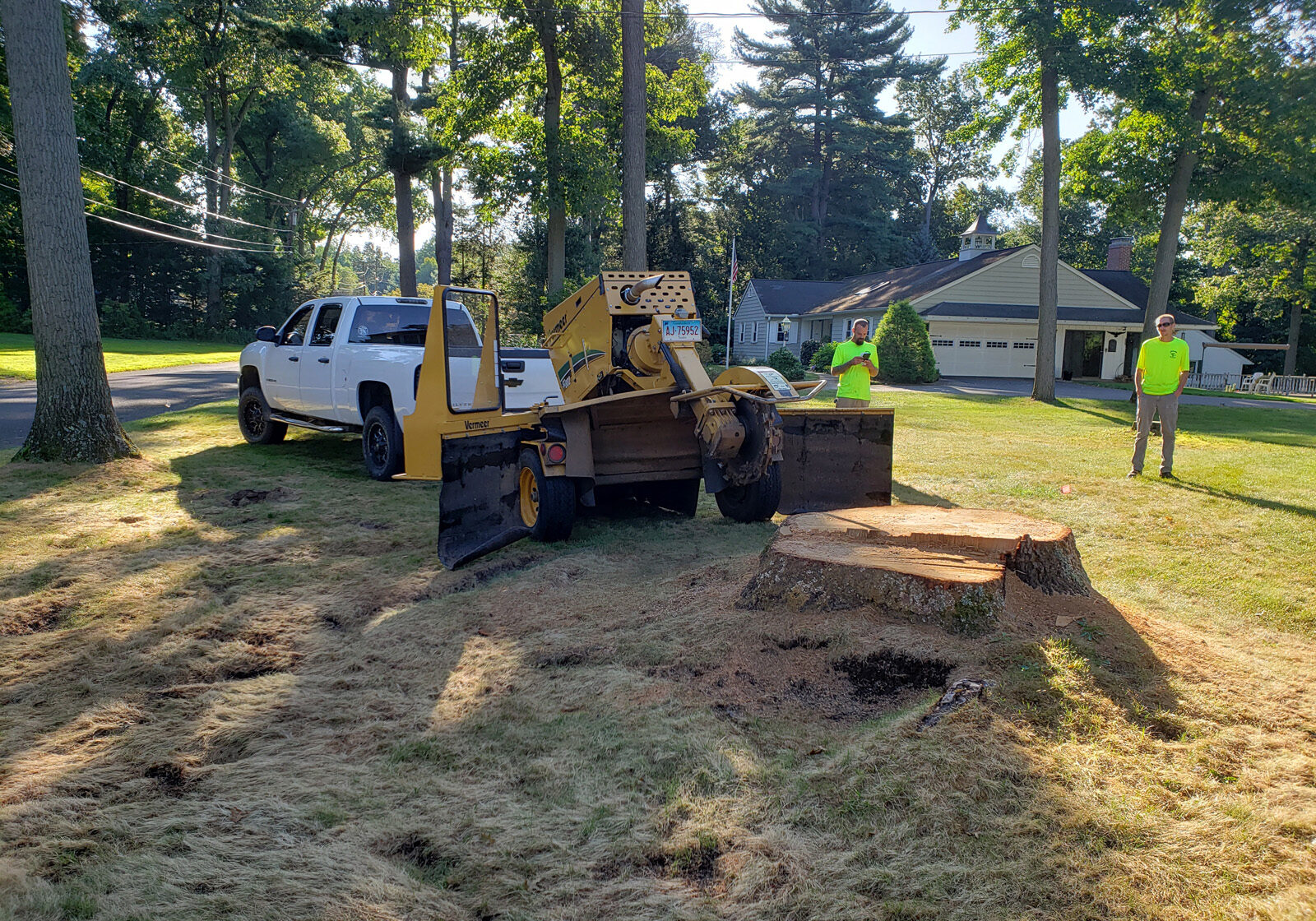 STUMP REMOVAL SERVICES