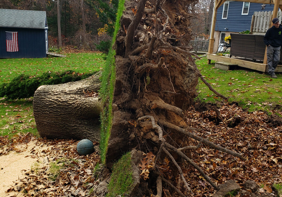 STORM DAMAGE IN CONNECTICUT