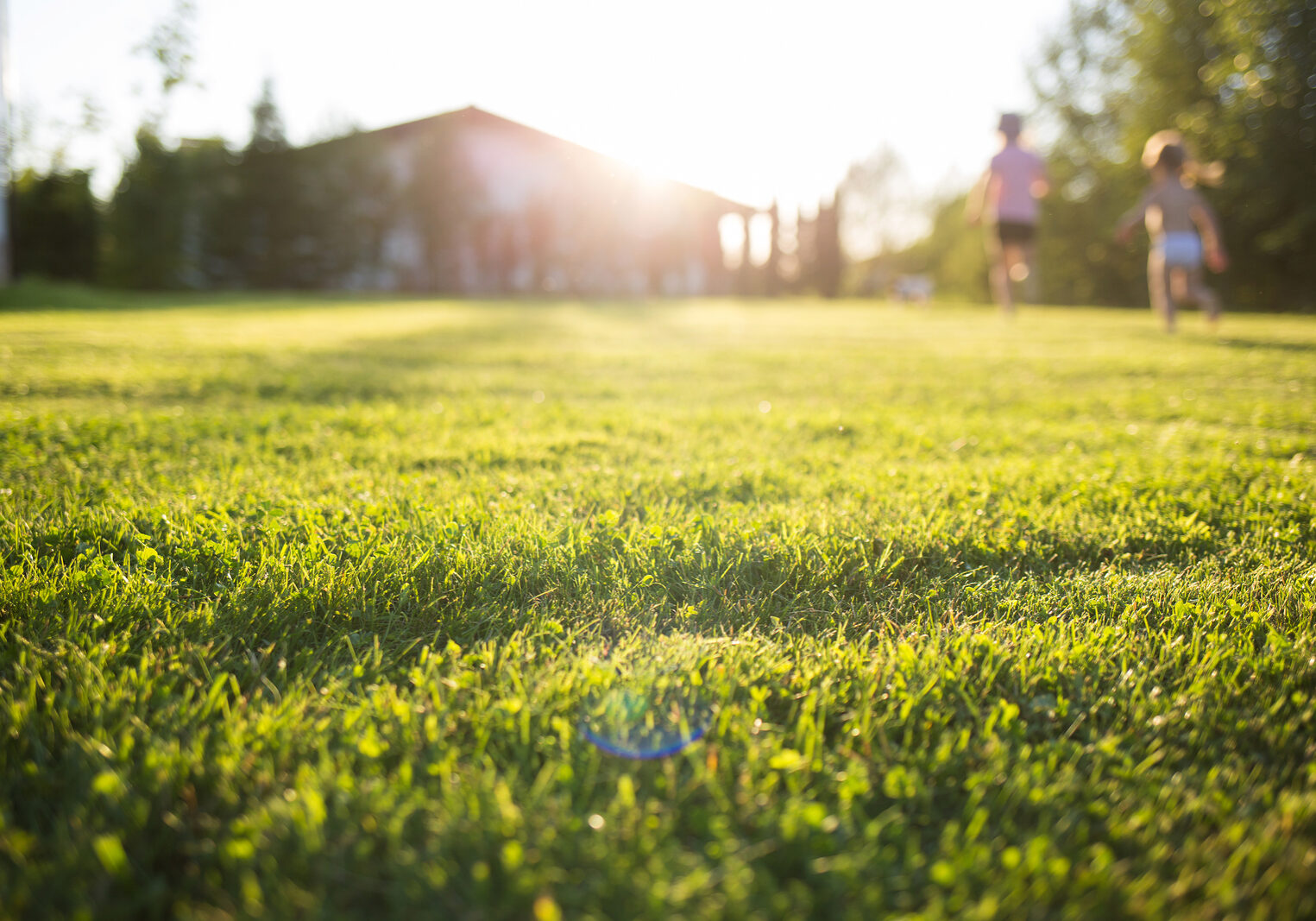 lawn at home. running children in blur. On a Sunny summer day